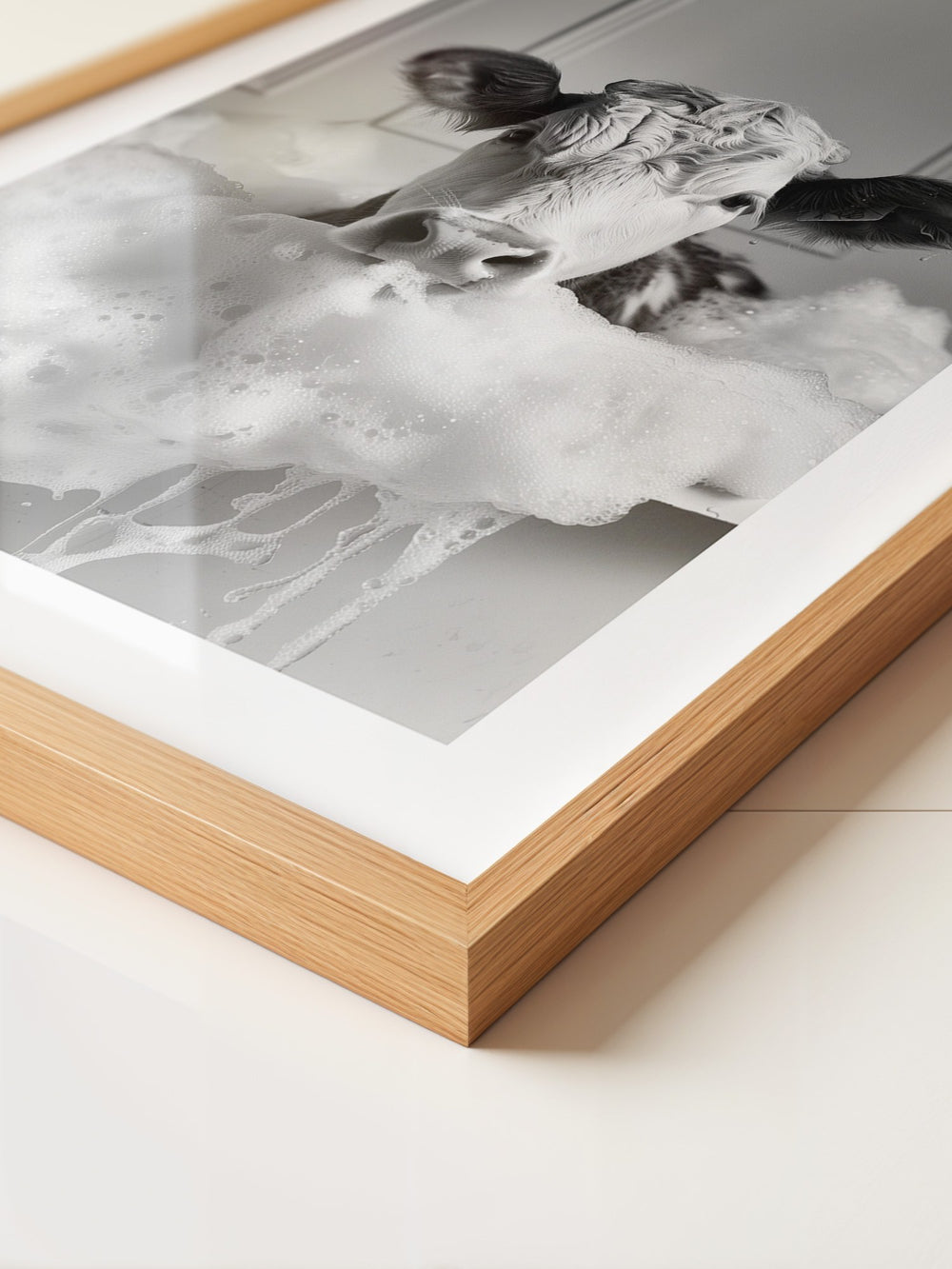 Kuh Schaumbad Schwarzweiß