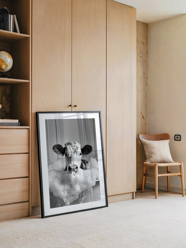 Kuh Schaumbad Schwarzweiß