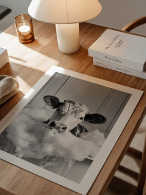 Kuh Schaumbad Schwarzweiß