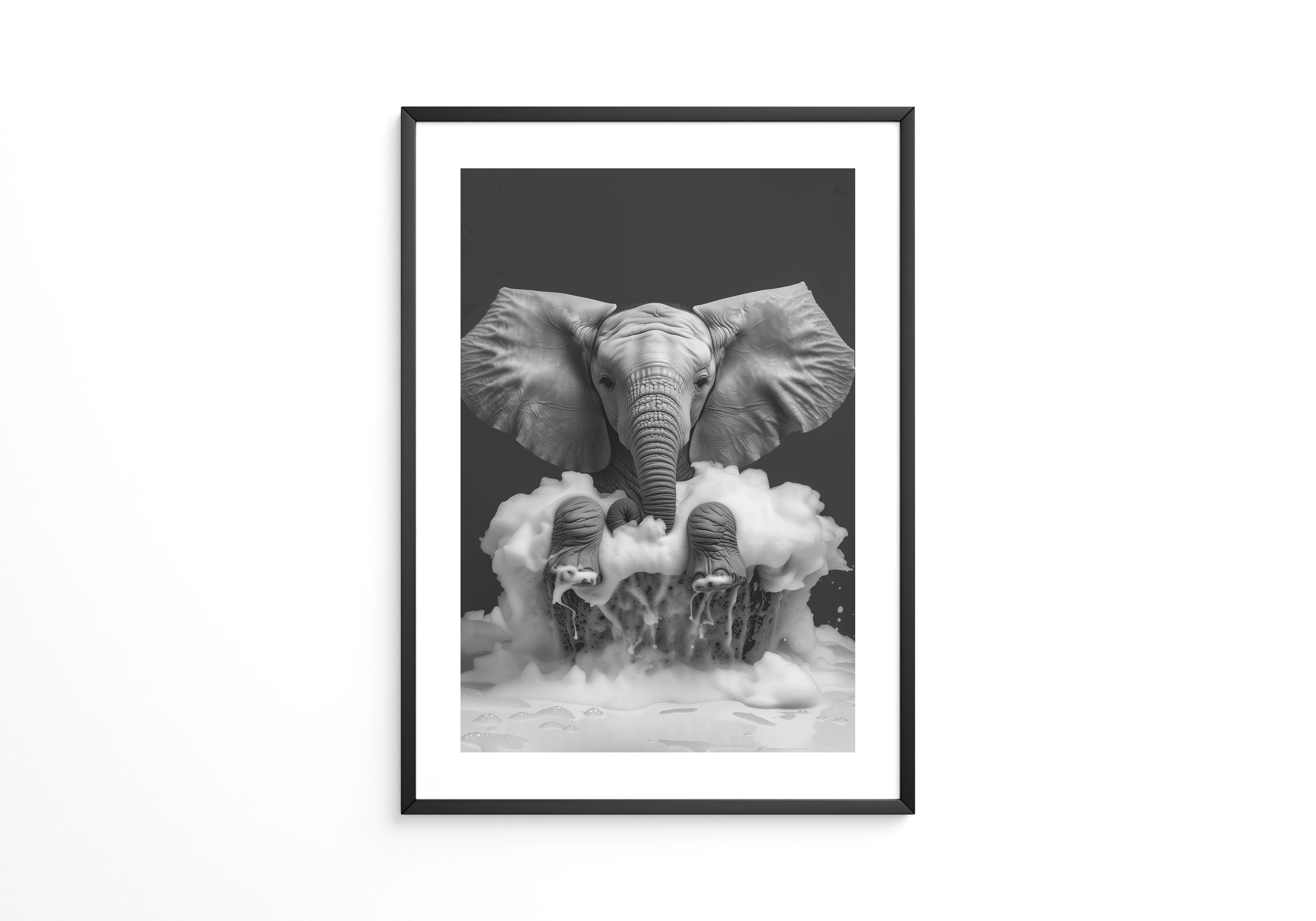 Elefant Schaum schwarzweiß