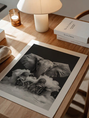 Elefant Schaum schwarzweiß