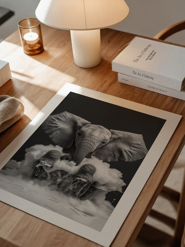 Elefant Schaum schwarzweiß