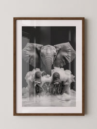 Elefant Schaum schwarzweiß