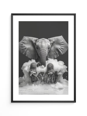 Elefant Schaum schwarzweiß