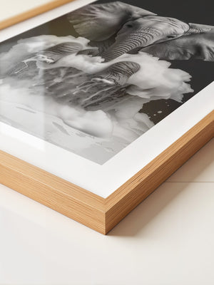 Elefant Schaum schwarzweiß