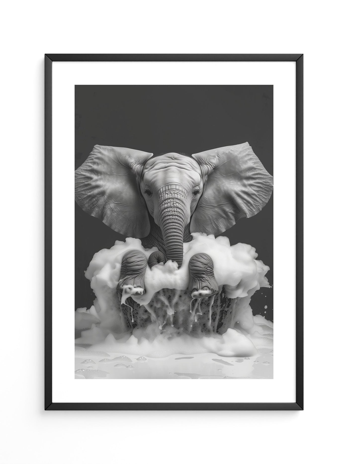 Elefant Schaum schwarzweiß