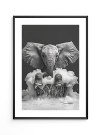 Elefant Schaum schwarzweiß