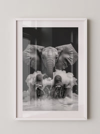 Elefant Schaum schwarzweiß