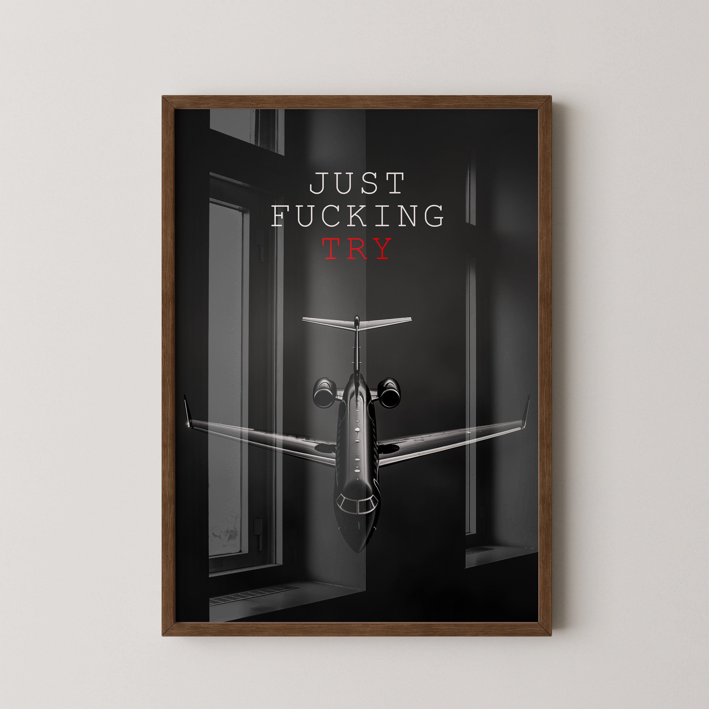 Flugzeug Frontansicht Schwarzweiß