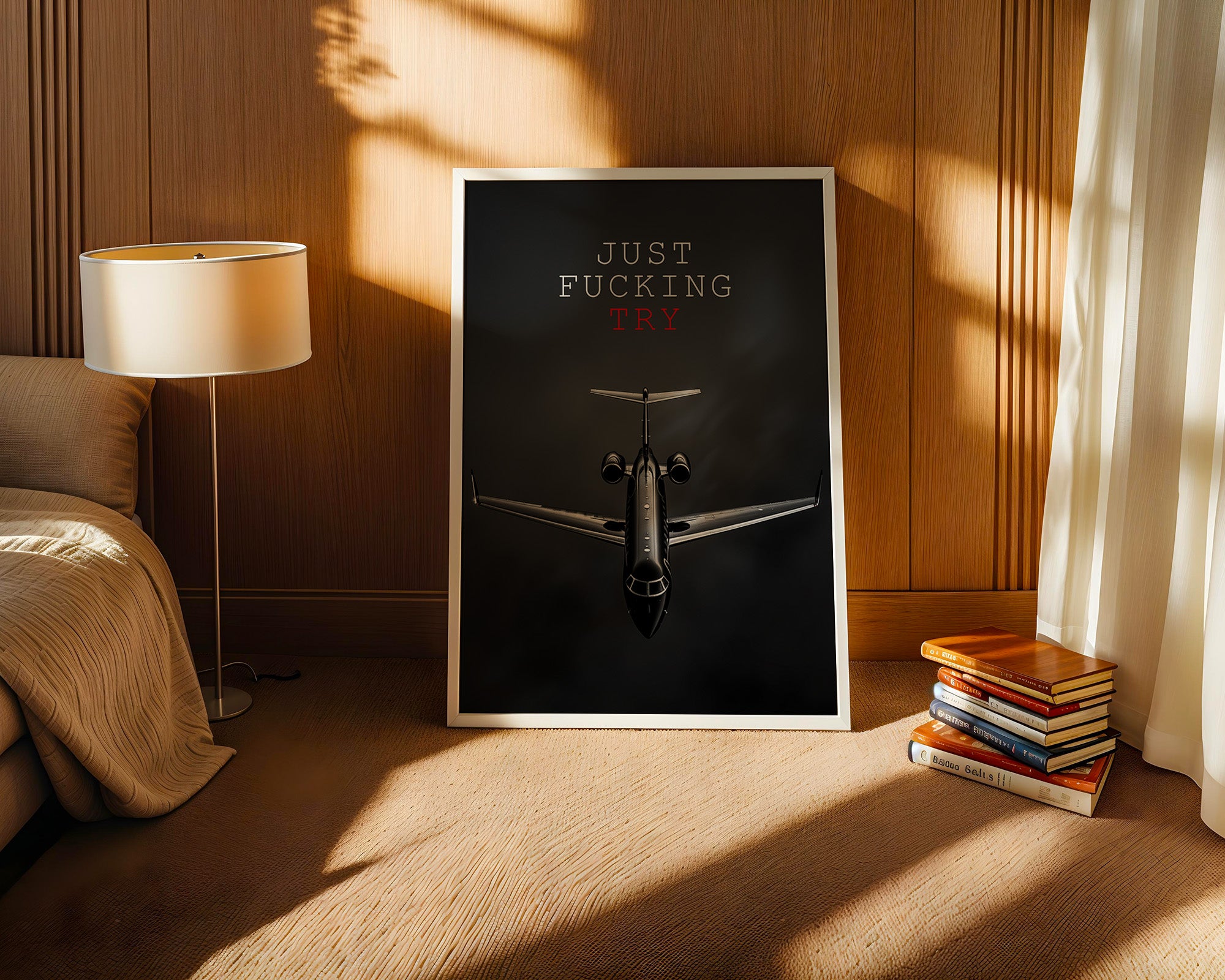 Flugzeug Frontansicht Schwarzweiß