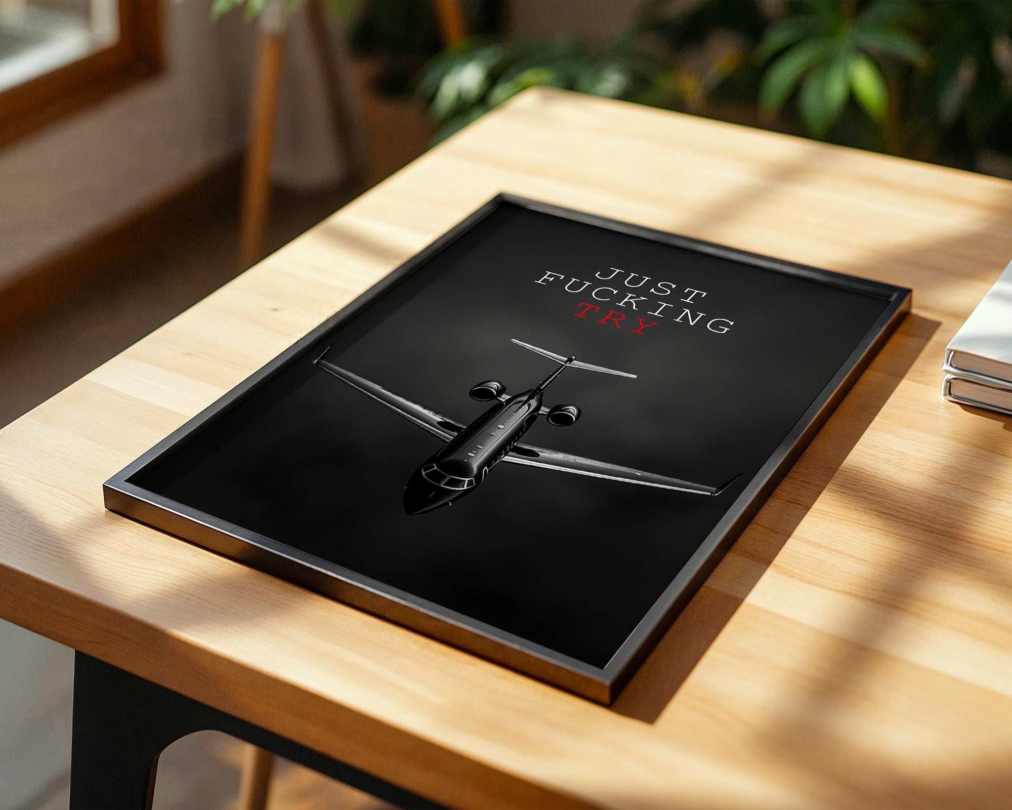 Flugzeug Frontansicht Schwarzweiß