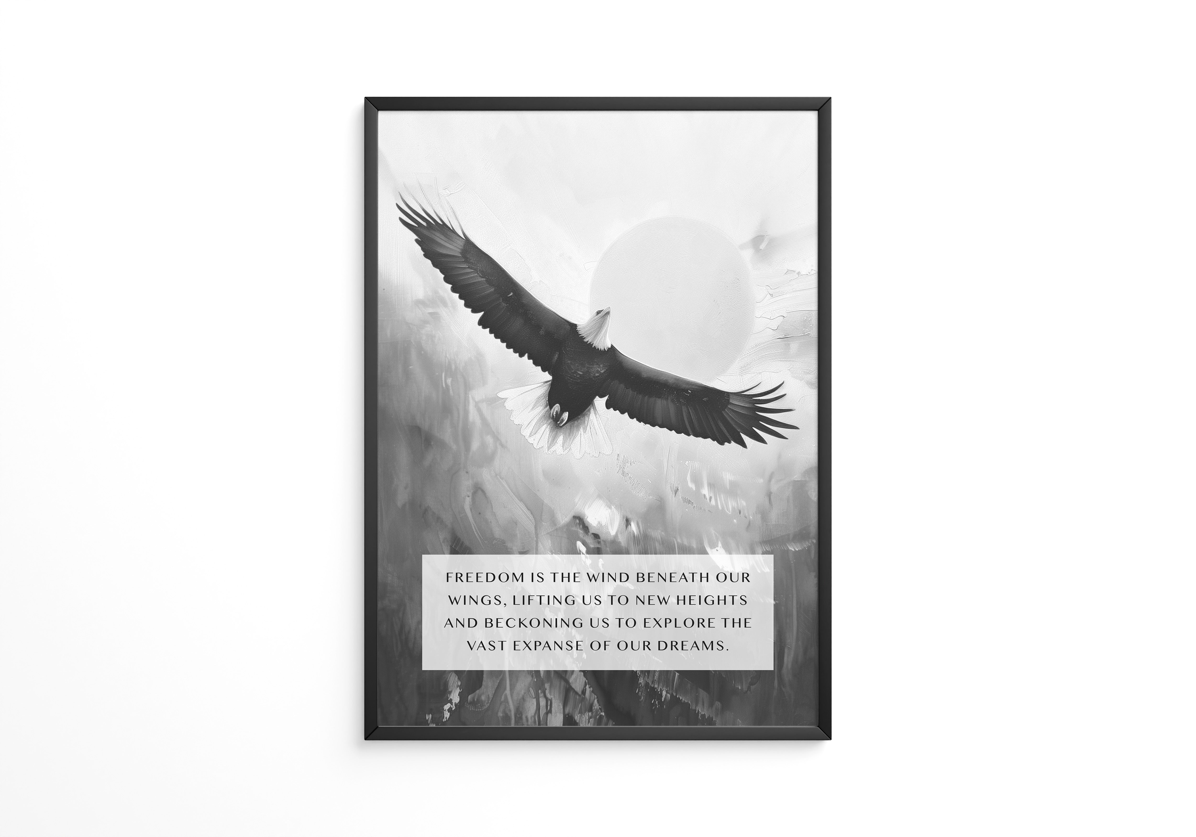 Adler im Flug Schwarzweiß