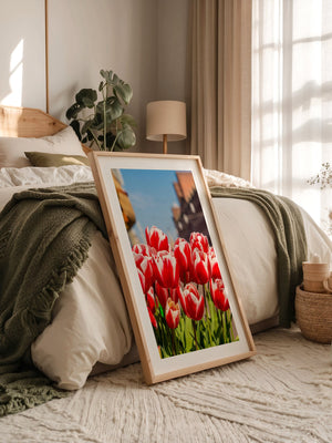 Tulpen frühlingshaft Straße