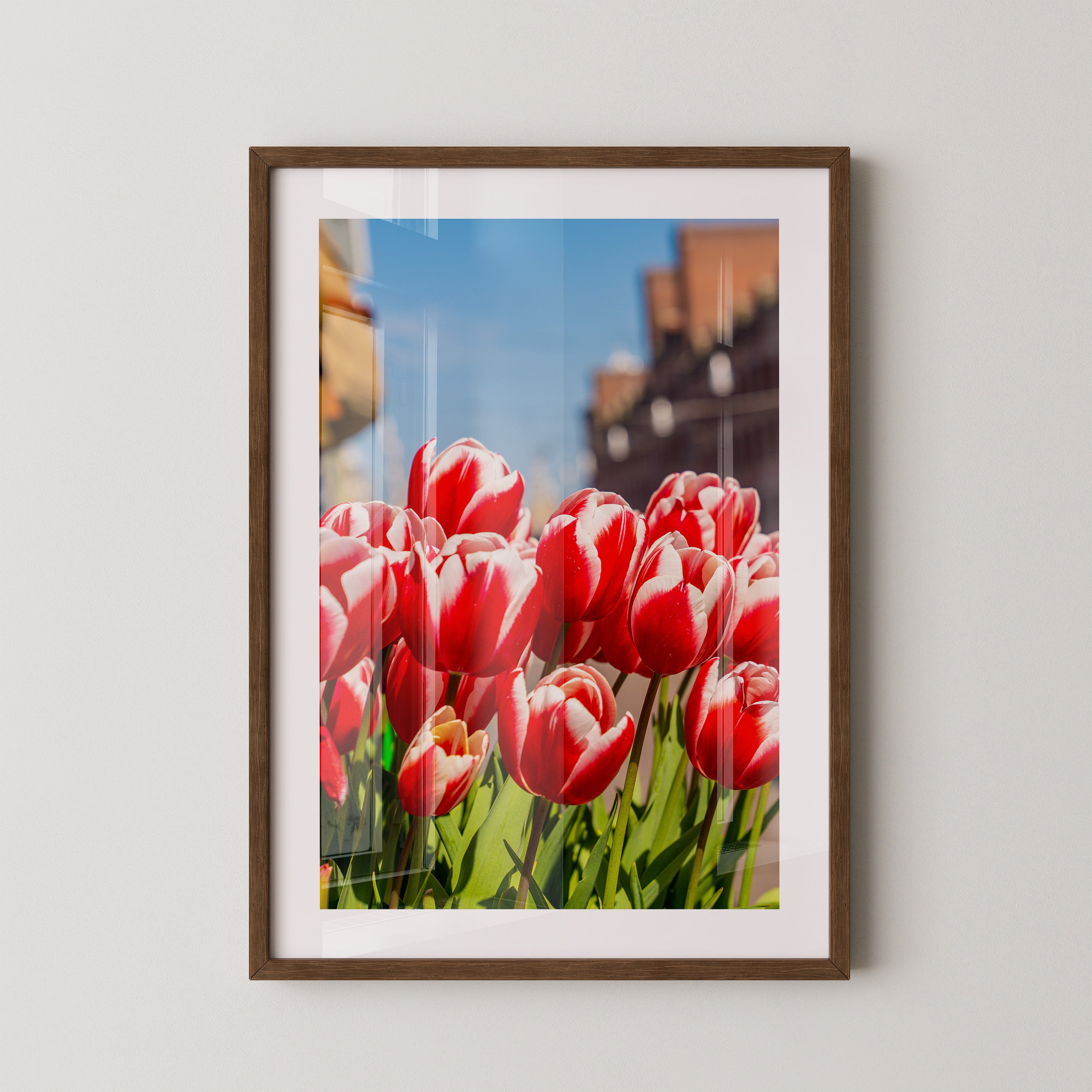 Tulpen frühlingshaft Straße