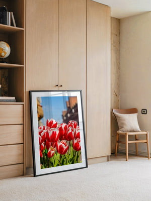 Tulpen frühlingshaft Straße