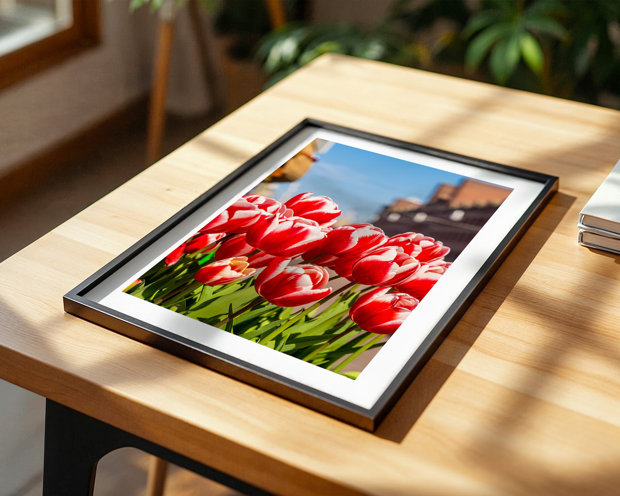 Tulpen frühlingshaft Straße