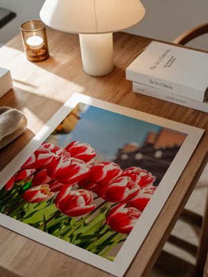 Tulpen frühlingshaft Straße