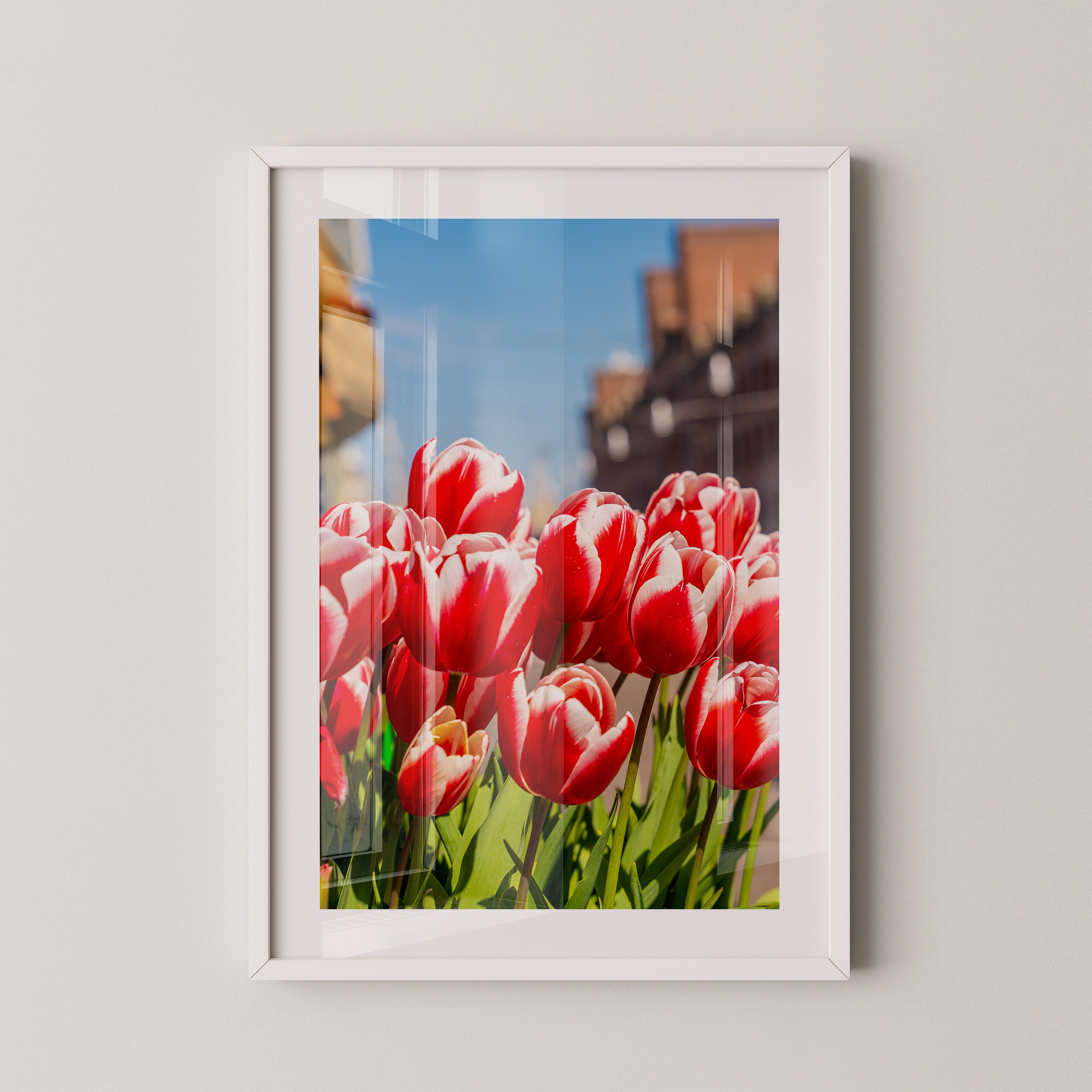 Tulpen frühlingshaft Straße