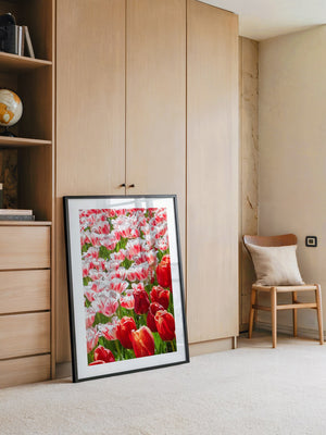 Tulpenmeer Rot Weiß
