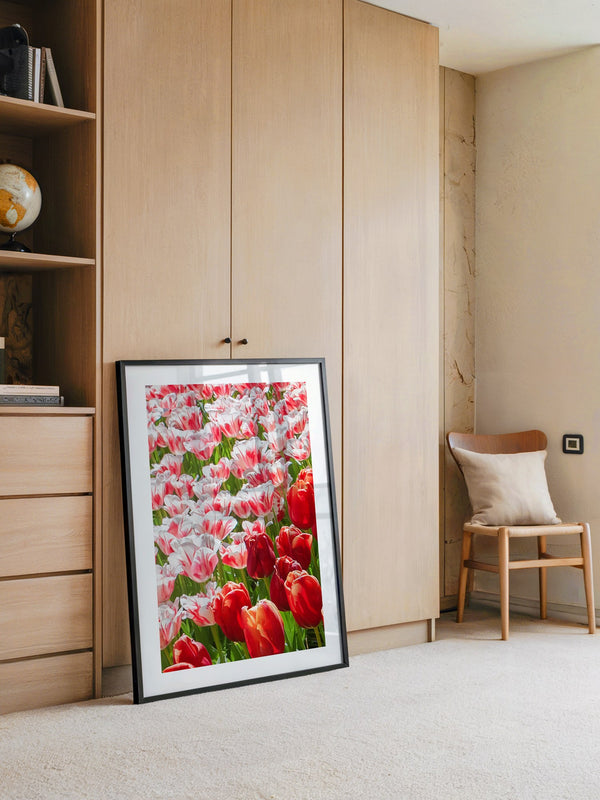 Tulpenmeer Rot Weiß