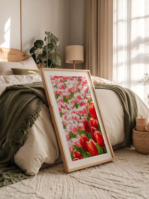 Tulpenmeer Rot Weiß