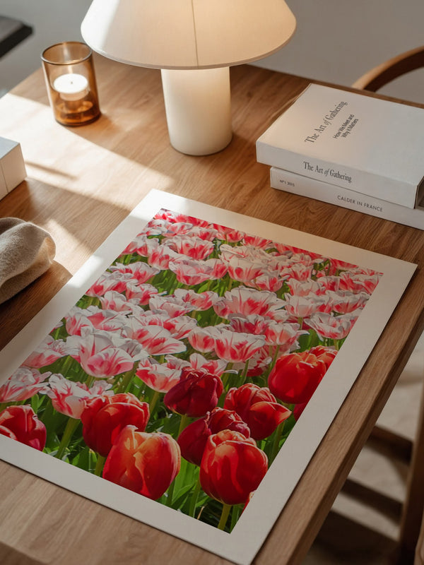 Tulpenmeer Rot Weiß