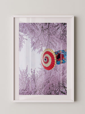 Kirschblüten Kimono Schirm Farben