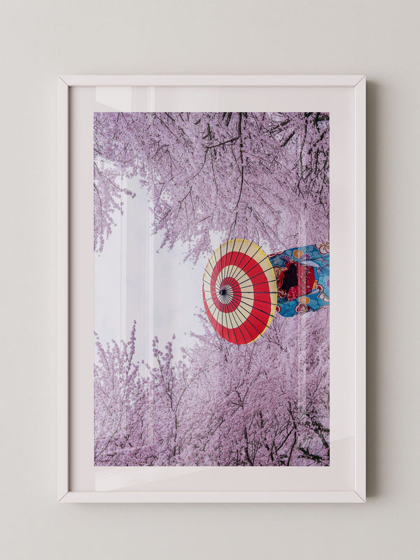 Kirschblüten Kimono Schirm Farben