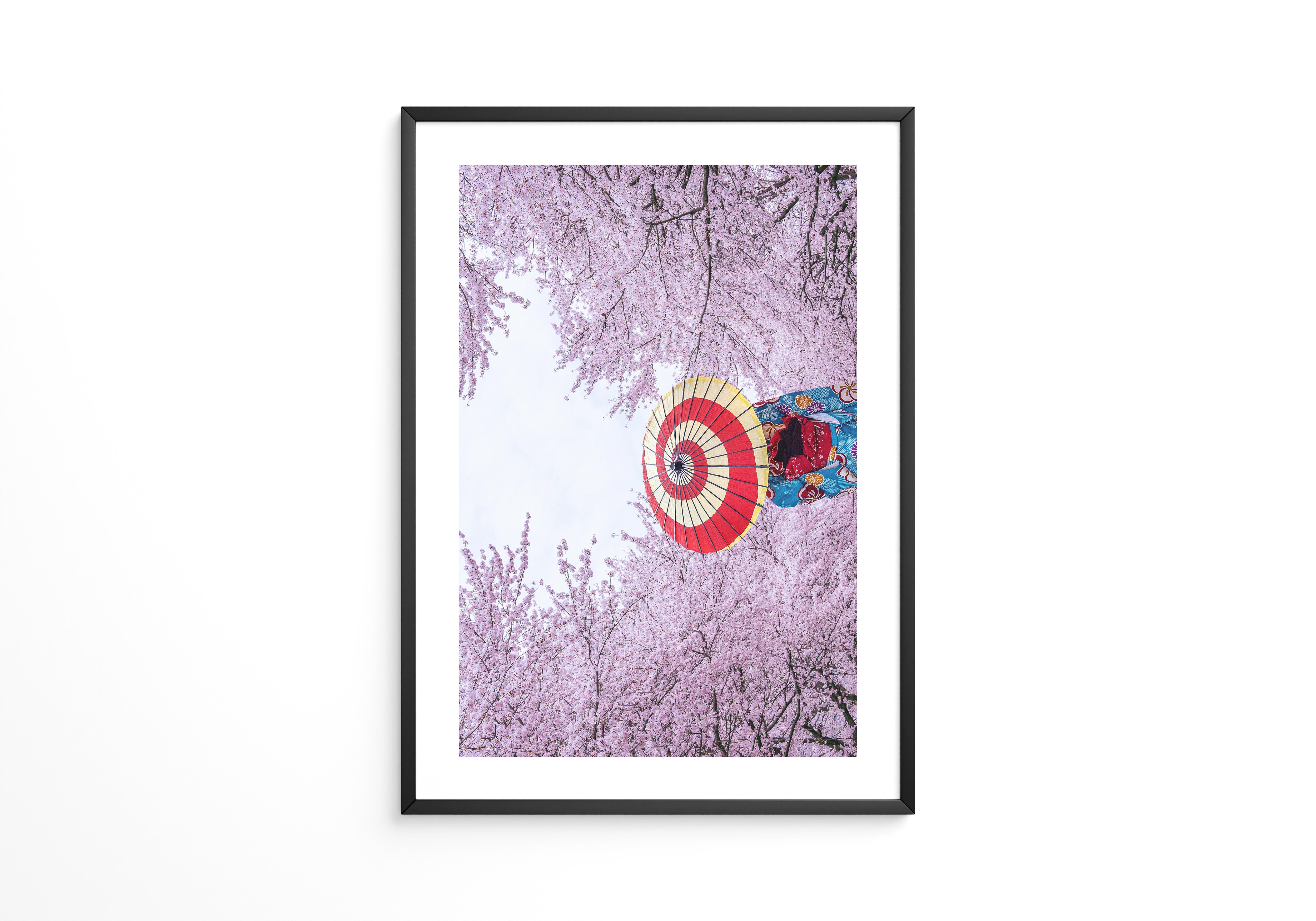 Kirschblüten Kimono Schirm Farben