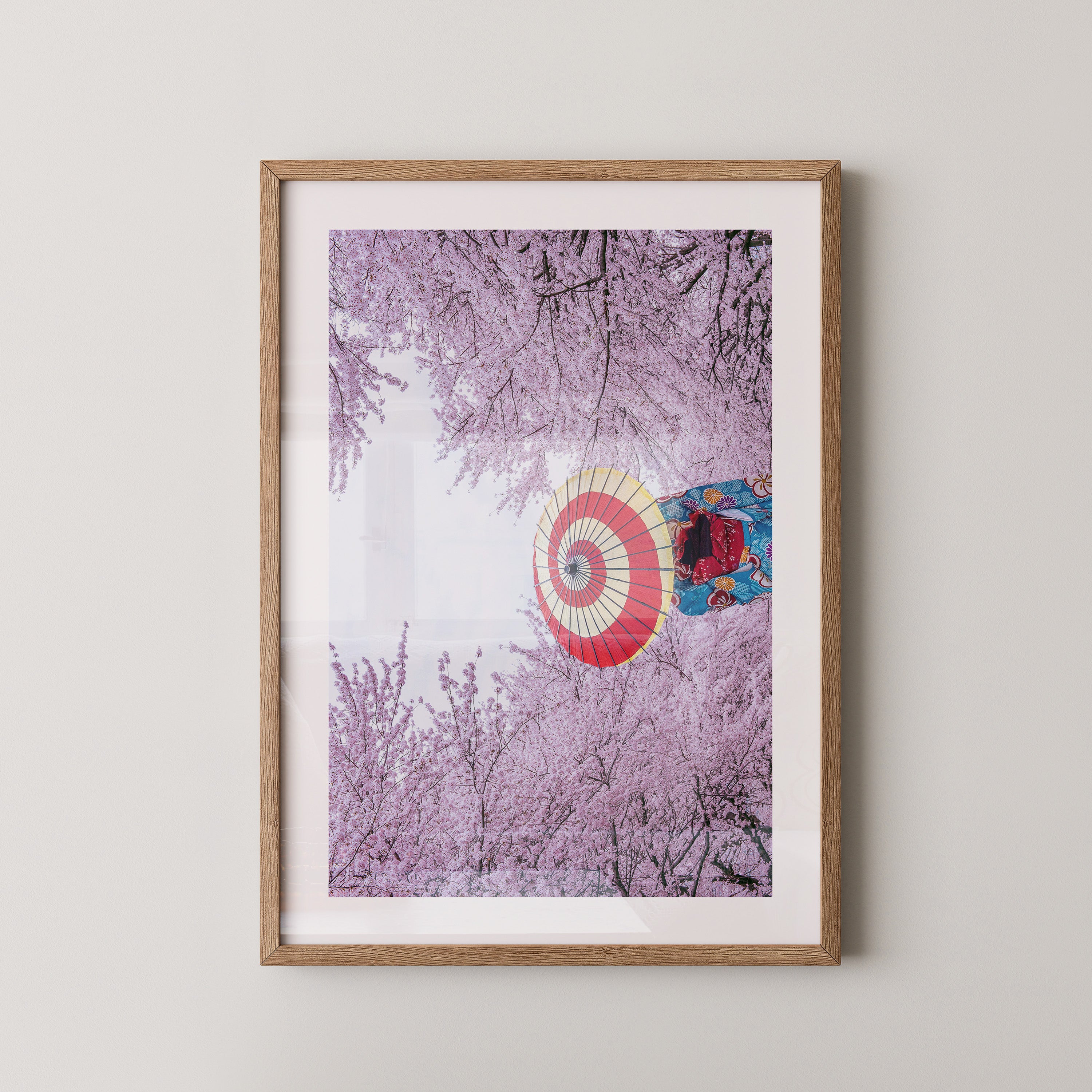 Kirschblüten Kimono Schirm Farben