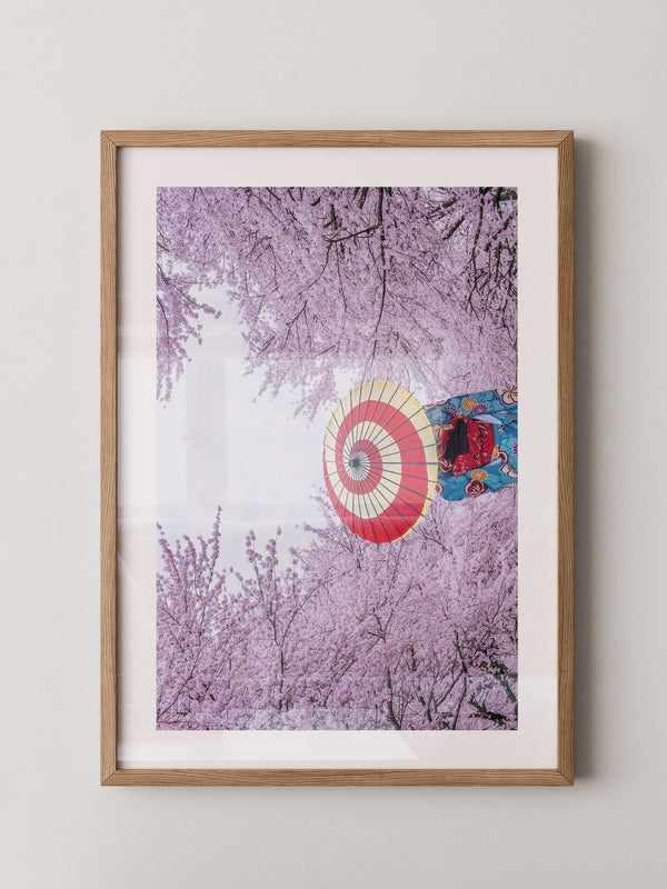 Kirschblüten Kimono Schirm Farben