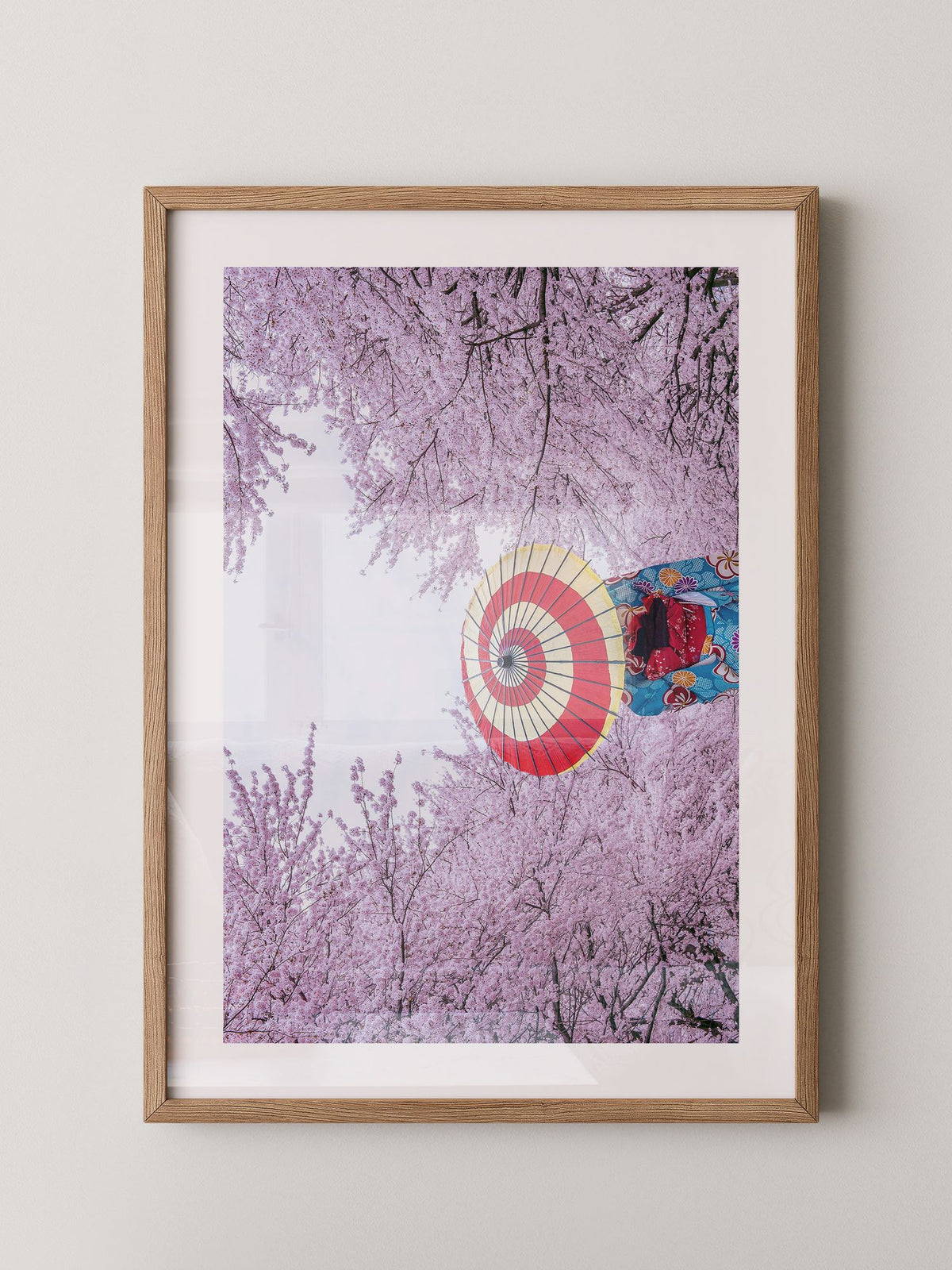Kirschblüten Kimono Schirm Farben