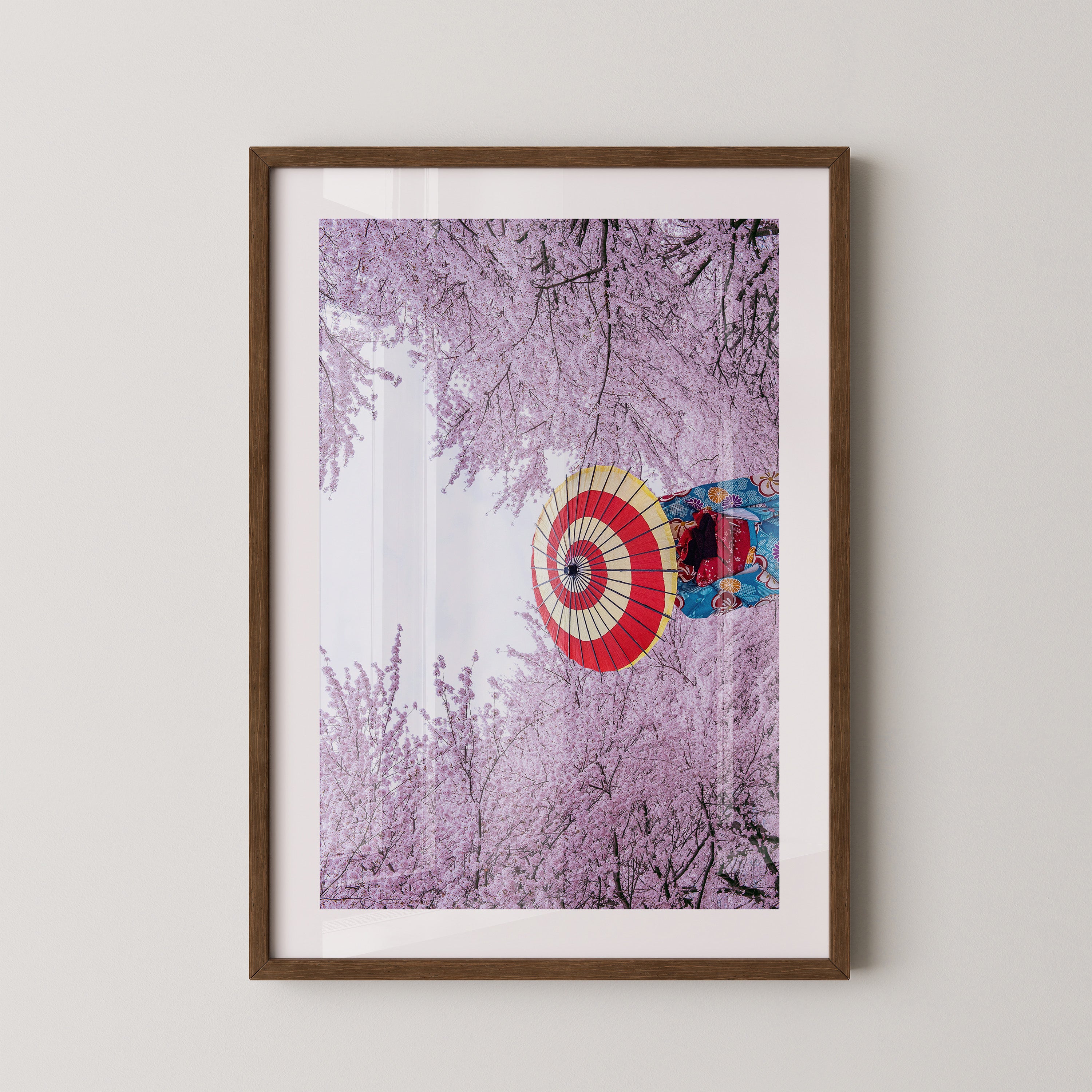 Kirschblüten Kimono Schirm Farben