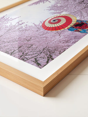 Kirschblüten Kimono Schirm Farben