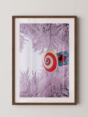 Kirschblüten Kimono Schirm Farben