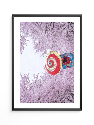 Kirschblüten Kimono Schirm Farben