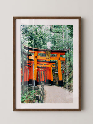 Torii Pfad leuchtend Orange