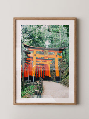 Torii Pfad leuchtend Orange