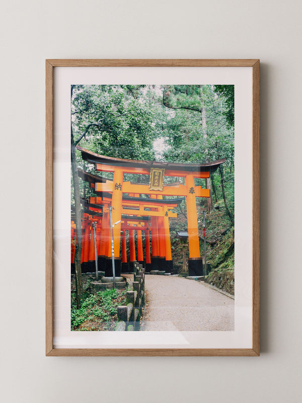 Torii Pfad leuchtend Orange
