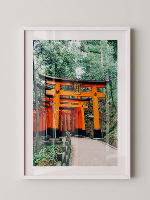 Torii Pfad leuchtend Orange