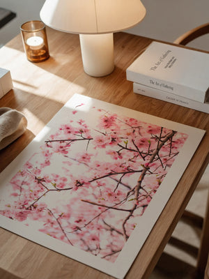 Kirschblüten zart rosa