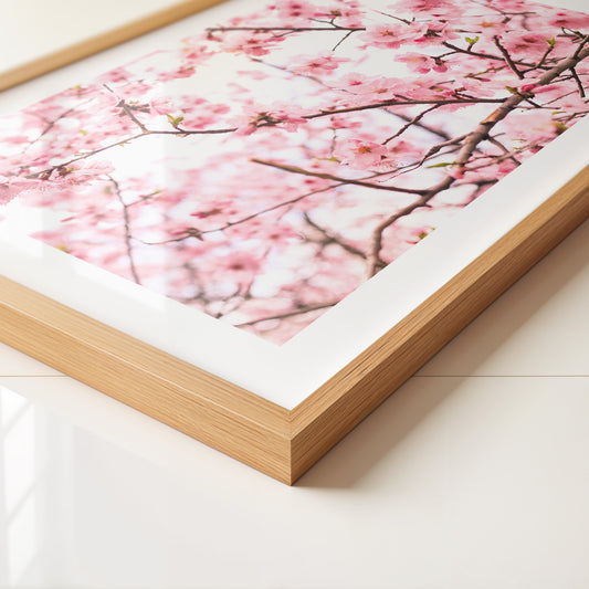 Kirschblüten zart rosa