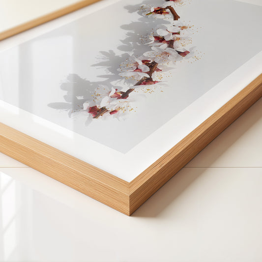 Blütenzweig Schattenlicht