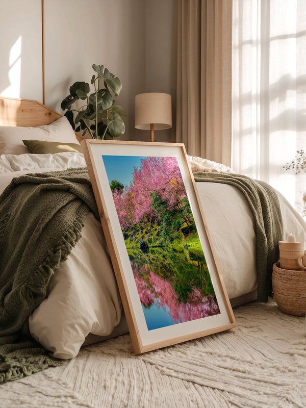 Blüten Spiegelung Frühling