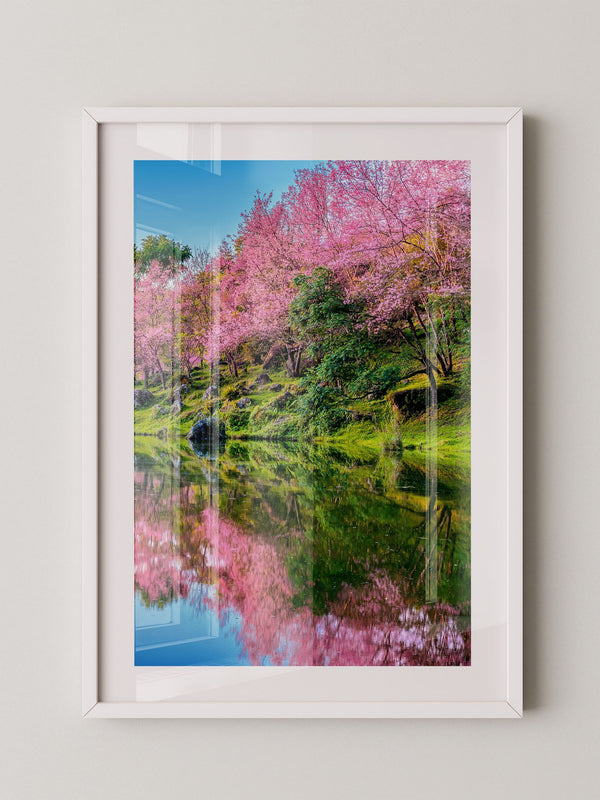 Blüten Spiegelung Frühling