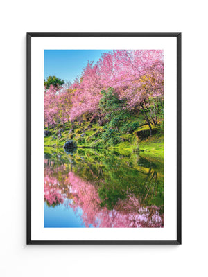 Blüten Spiegelung Frühling