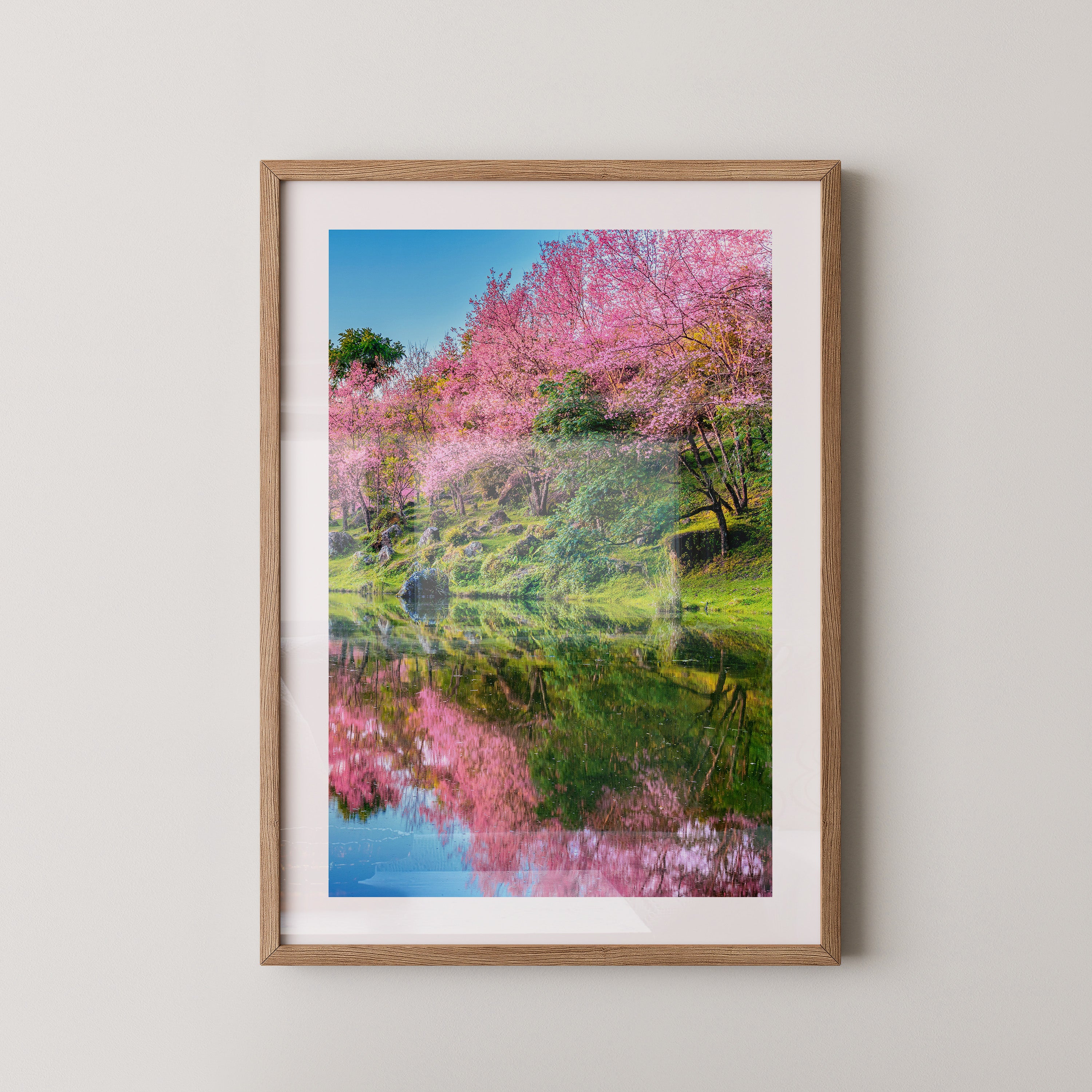 Blüten Spiegelung Frühling