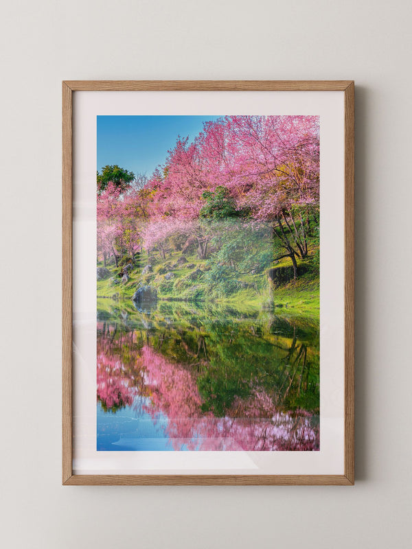 Blüten Spiegelung Frühling