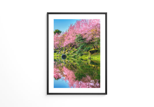 Blüten Spiegelung Frühling