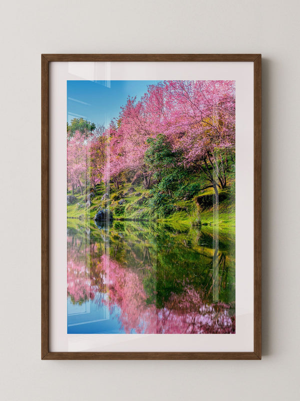 Blüten Spiegelung Frühling